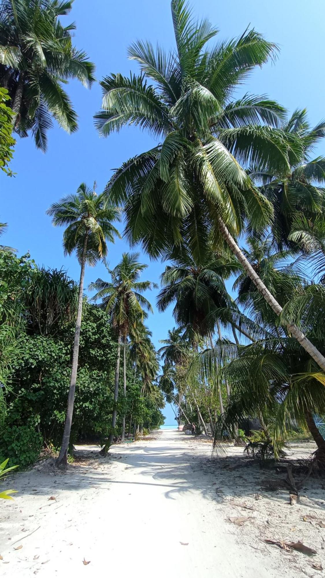 Ahiva Village Fulhadhoo Exterior foto